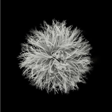 Naturehike Snowbird™ SP1000 Down Mummy Sleeping Bag 13°F / -10°C